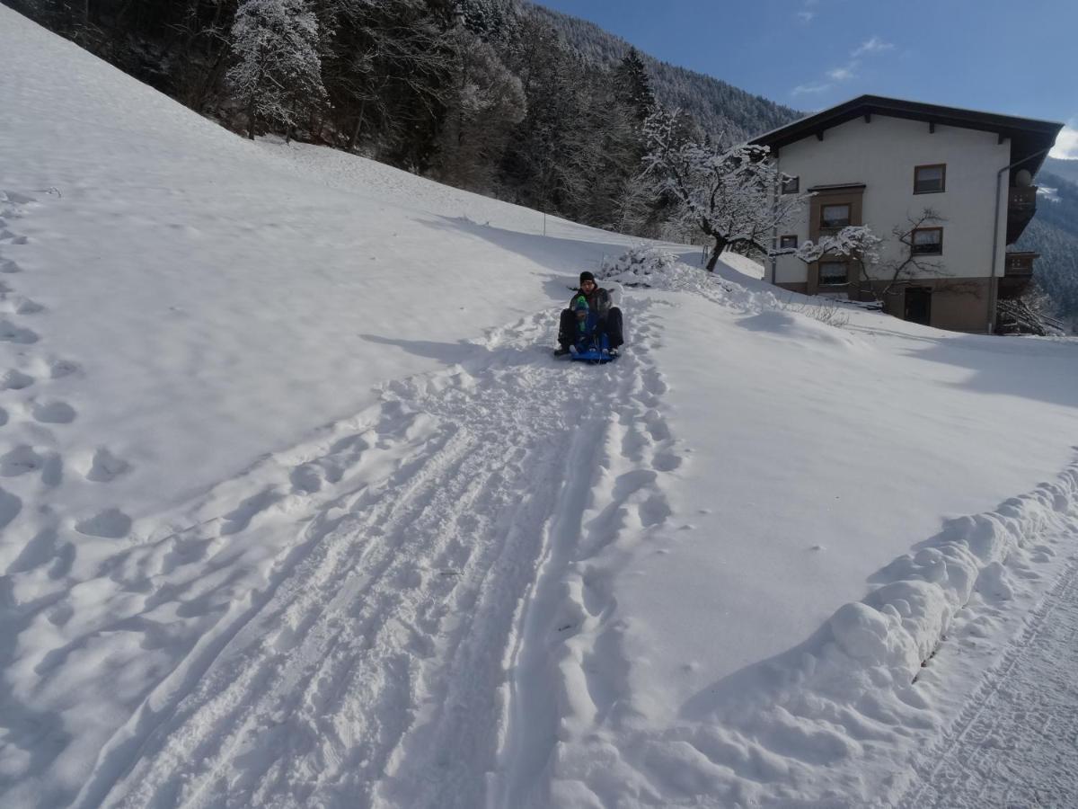 Panorama Apartment Bruck am Ziller エクステリア 写真